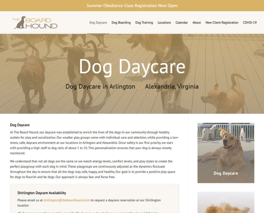 The Board Hound Website - Dog Daycare